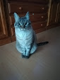 My Photo