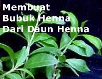 http://hennaclubindonesia.blogspot.in/2014/01/membuat-bubuk-henna-dari-daun-henna.html