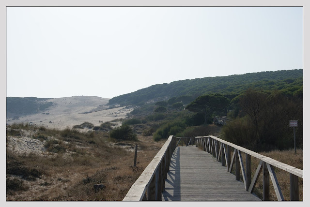 Bolonia