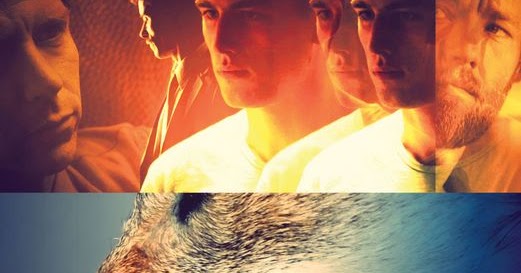 Download Film Animal Kingdom ( 2010 )