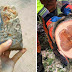 29 Incredible Pictures That Left Us Confused
