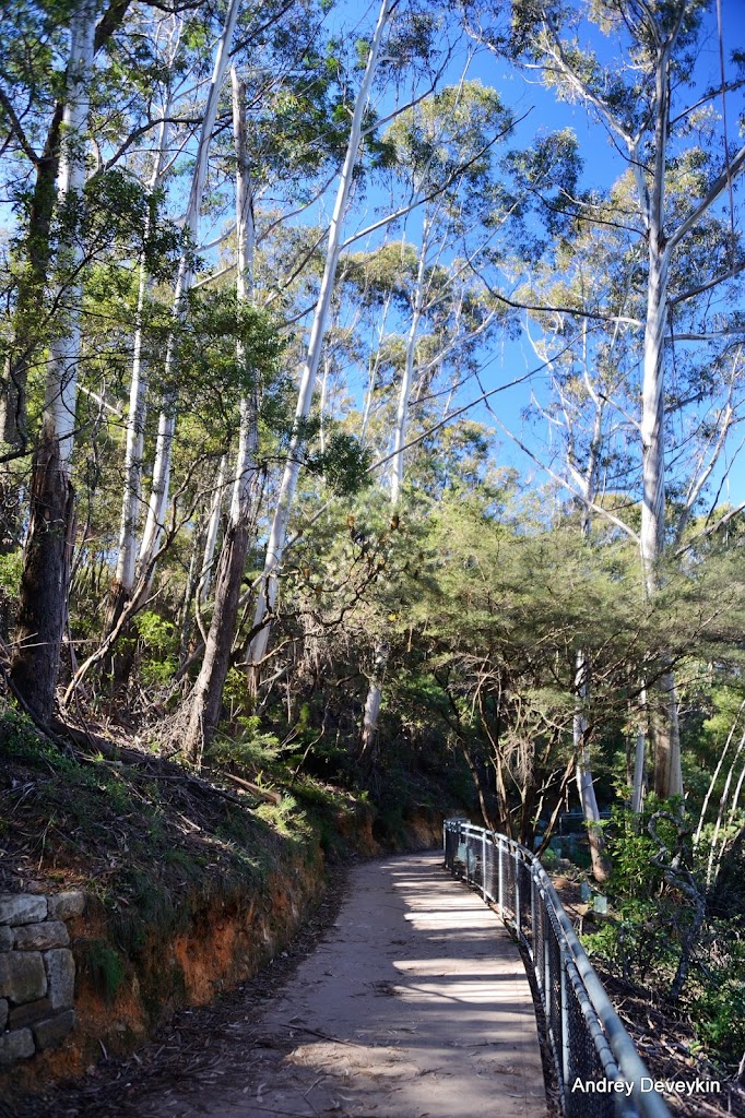 Национальный парк Голубые горы (Blue Mountains National Park)