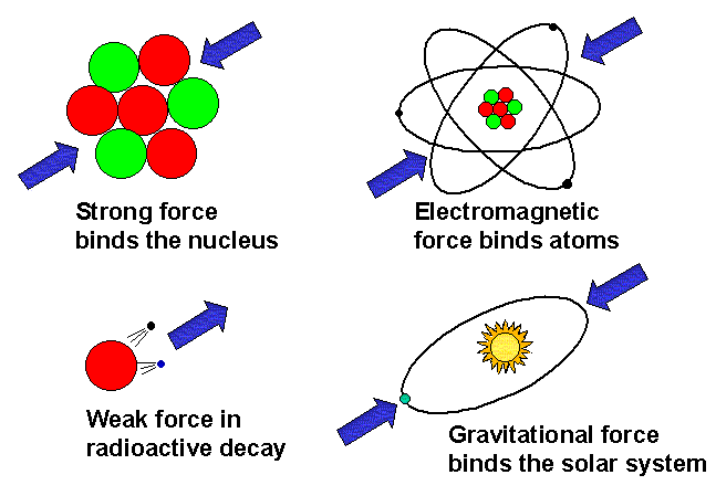 Four universal forces
