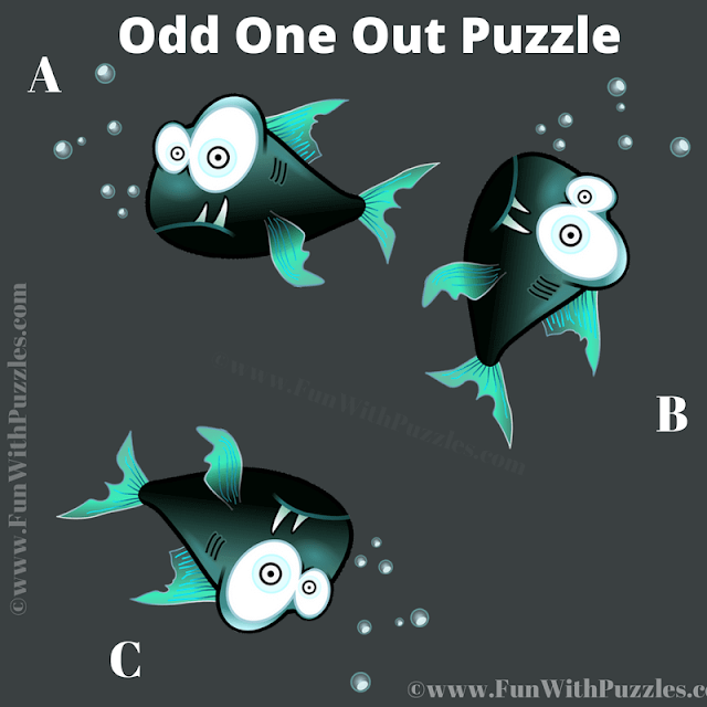 Spot The Different Fish Picture Riddle for Teens
