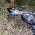Jovem de 17 anos morre e dois ficam feridos em acidente com moto