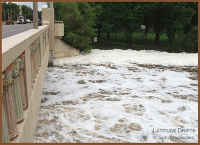 Copyright © Shelley Banks, all rights reserved. Foam in Wascana Creek - photo by Shelley Banks