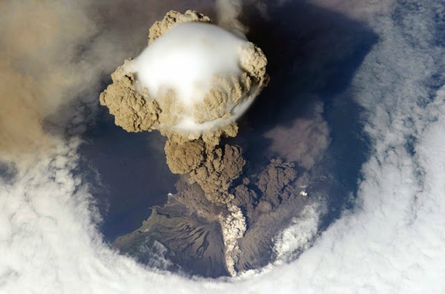 Wikimedia_Commons_Picture-of_the_Year_3.jpg