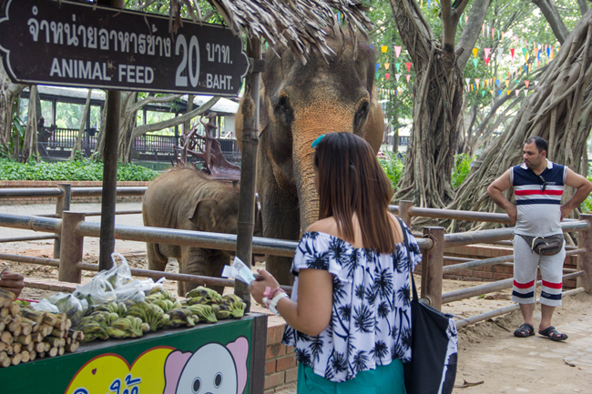 Samphran Elephant Grounds and Zoo