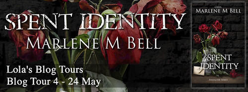 Spent Identity banner