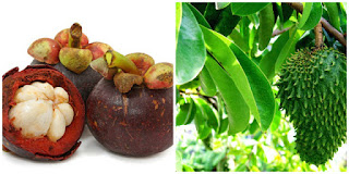 Penyebab, Gejala serta Pengobatan Kista Ovarium Penyebab, Gejala serta Pengobatan Kista Ovarium