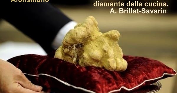 Aforismi Frasi E Proverbi Sul Tartufo Aforismario