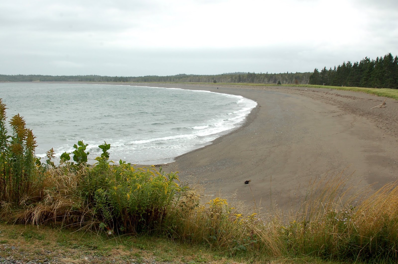 Grandma's Solo Camping Adventures Campobello Island, New Brunswick