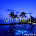 TERI - SWEET PARADISE // .@DJBLKLUOS