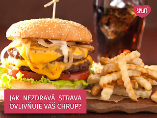 Obrázek