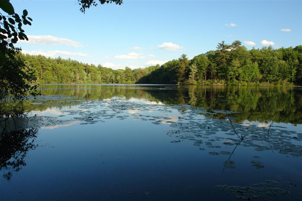 Bedford Conservation Land Stewards Pictures