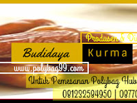 Jangan Salah! Budidaya Kurma di Indonesia Ternyata Fakta, Begini Cara Menanamnya!
