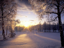 snow desktop backgrounds wallpapers background falling snowflakes