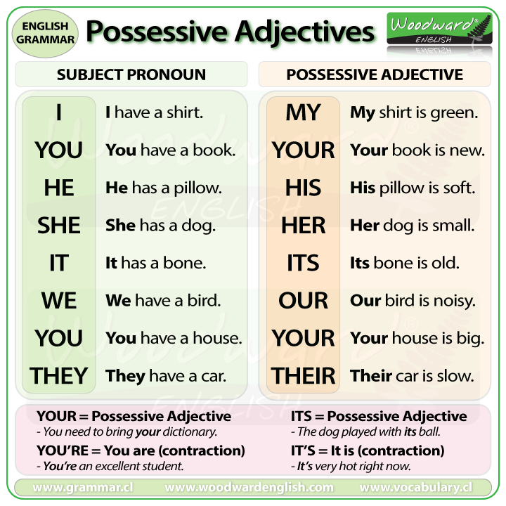 efe-subject-pronouns-and-possessive-adjectives-english-language