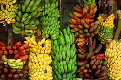 ragam manfaat buah pisang yang luar biasa