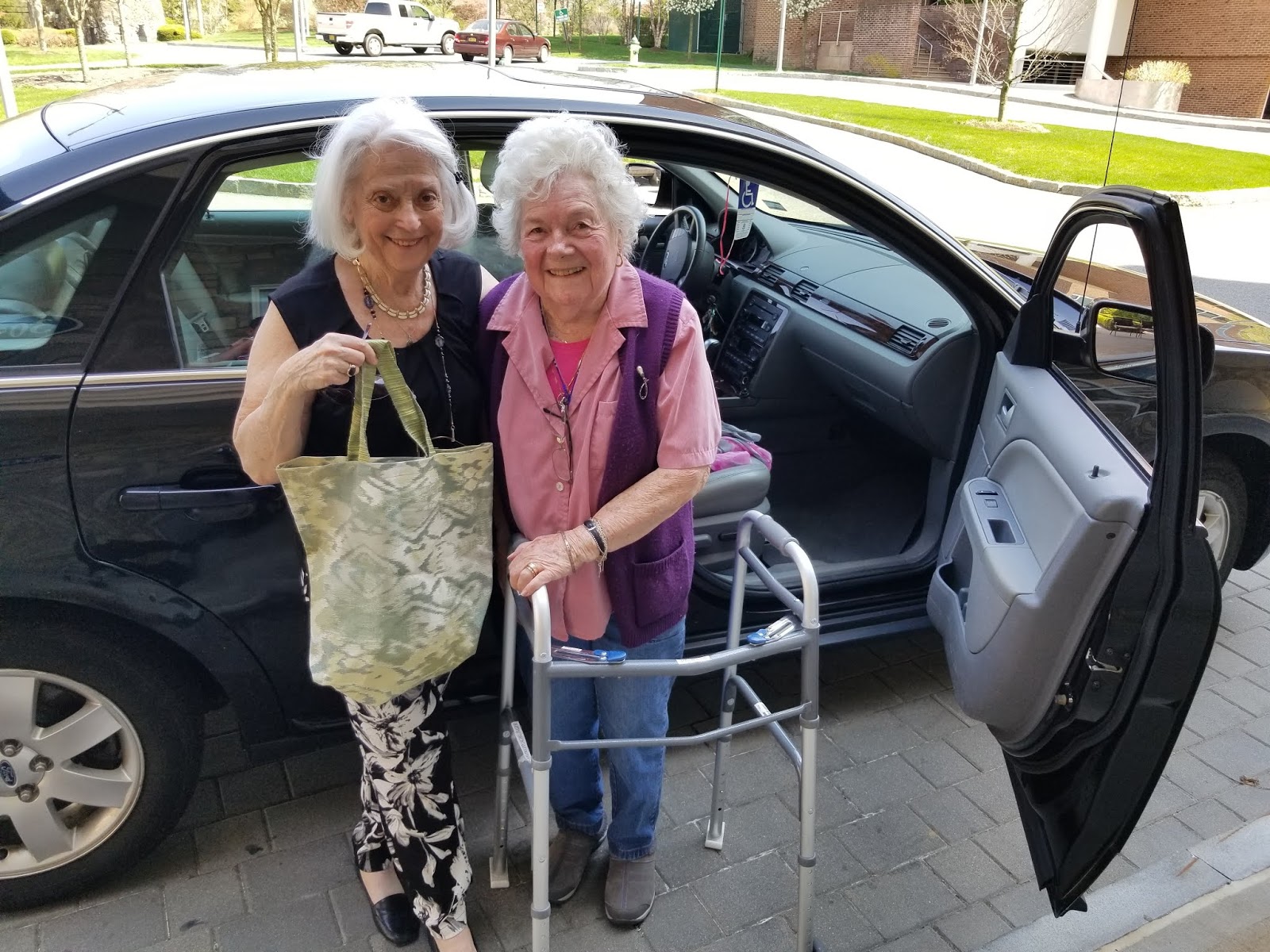 Green Bag Lady New York Bags!