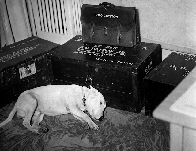 Willie standing by Patton’s belongings, 1945.