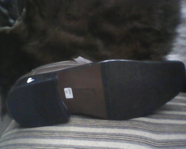 Gesunde Shoes: KICKERS 1616172