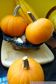 photo of a pile of pumpkins and winter squash