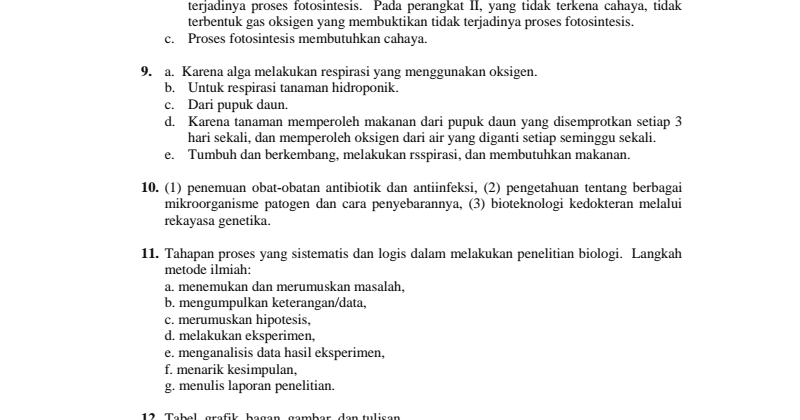 Soal essay budaya politik kelas xi 05 picture