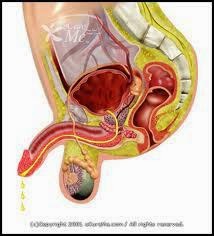 Image kira kira kalau biaya kencing nanah ke dokter berapa sih?