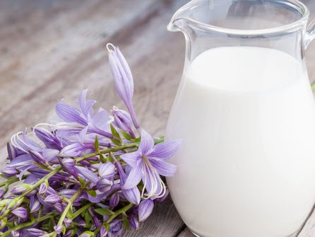 Susu Kental Manis dan Susu Formula, Mana yang Lebih Aman untuk Anak?