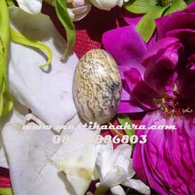 Mustika Bulu Macan Mustika Bertuah, Benda Berkhasiat, Batu Berkodam Sekti, Pusaka Ampuh , Azimat asli, Pengasihan, Mustika Bulu Macan