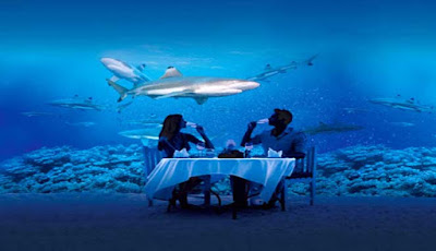 The best aquarium in the world awesome aquariums