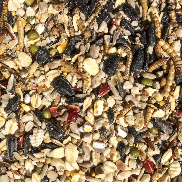 fågelmat, birdfeed fågelmat, birdfeed