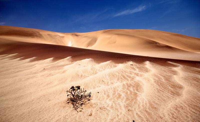 Skeleton Coast (Namibia)
