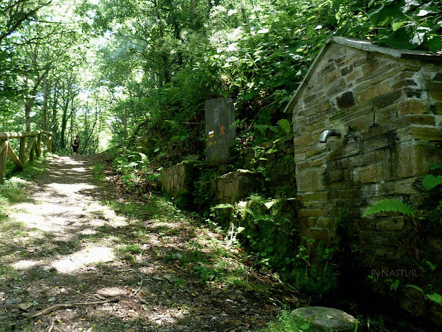 Ruta del Agua - Reserva de La Biosfera Oscos Eo Ruta del Agua - Reserva de La Biosfera Oscos Eo