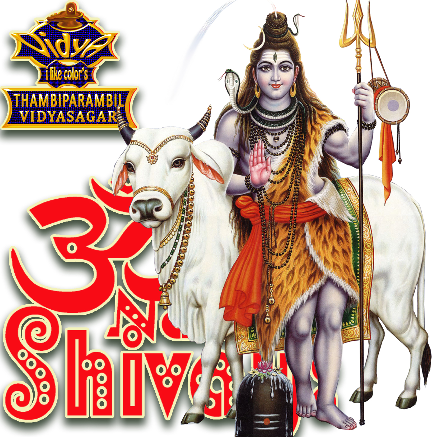LORD SHIVA WALLPAPER'S: Maha deva