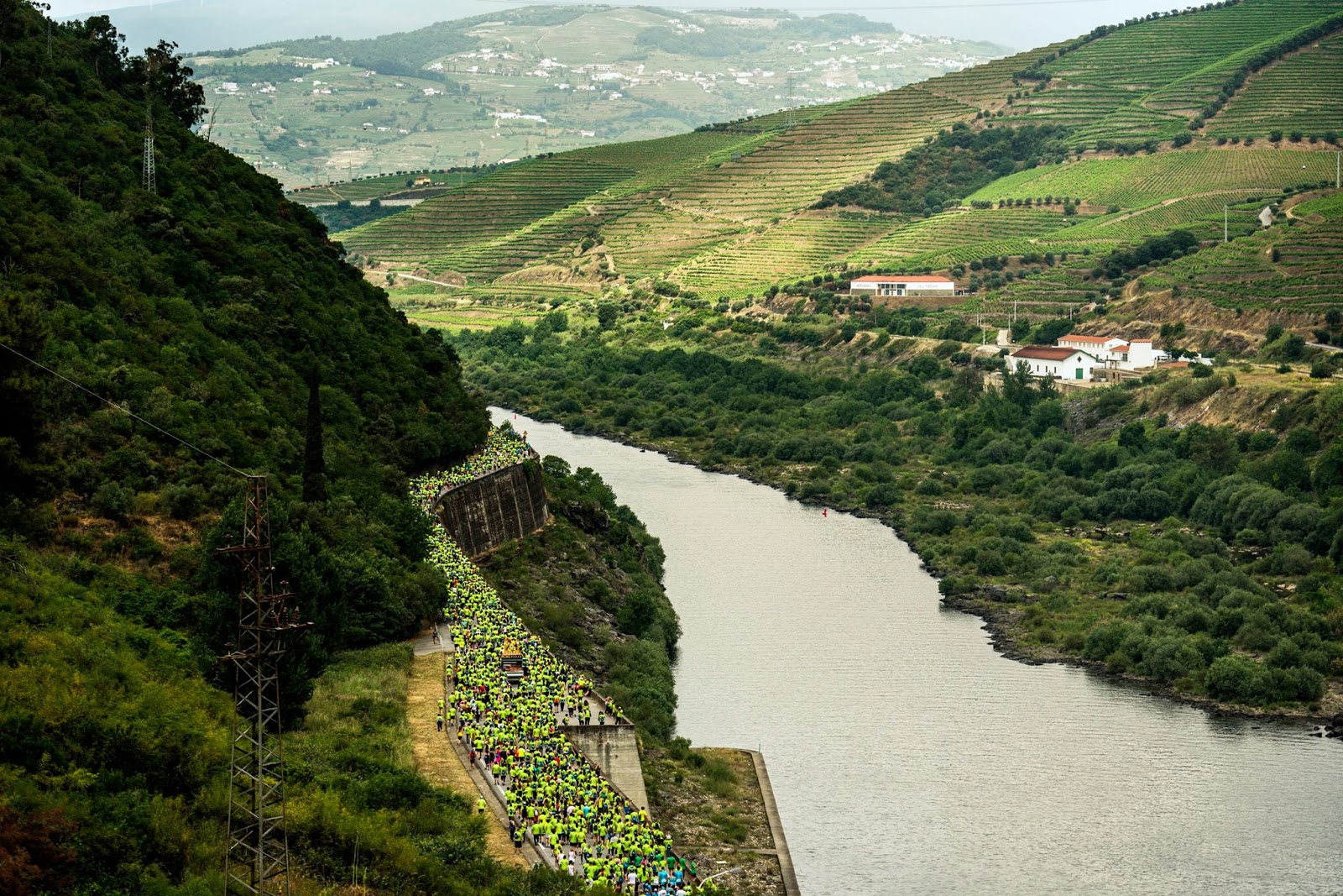 LITORAL CENTRO COMUNICAÇÃO E IMAGEM EDP Meia Maratona do Douro