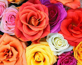ramo-de-rosas-de-diferentes-colores