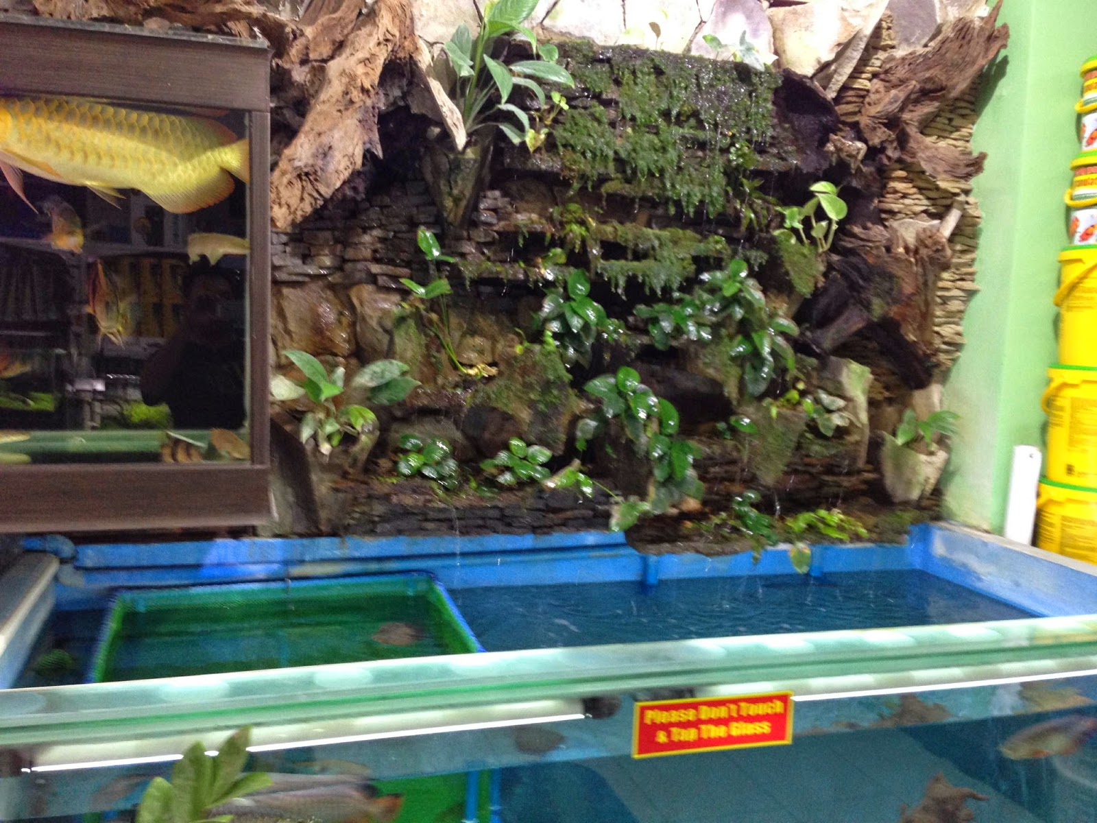 Cebu Aquarium Guide May 2014