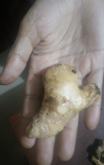 What Can You Do With Ginger Root?