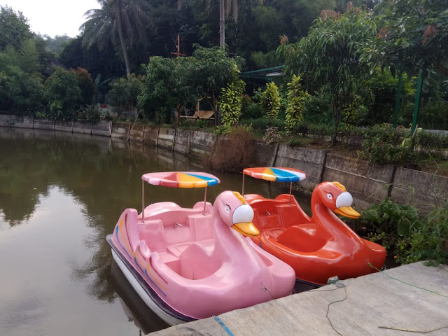 perahu bebek murah perahu bebek murah