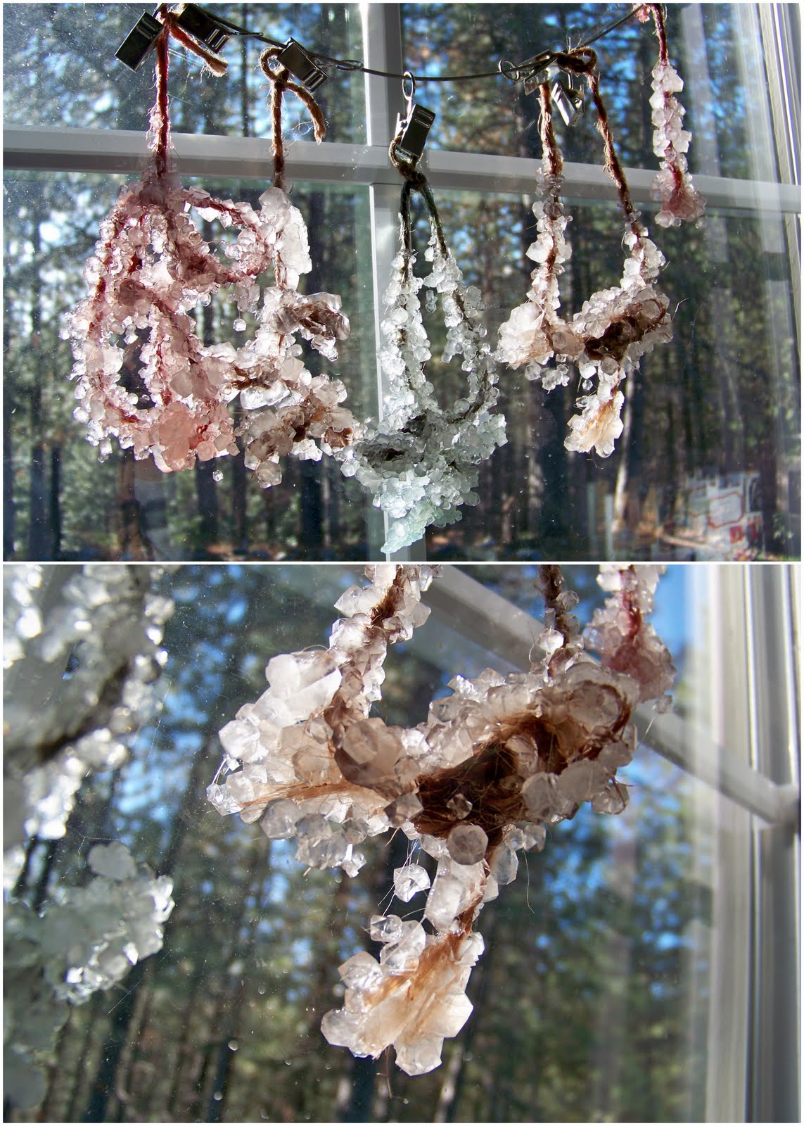 The Gardner's Dirt Growing Crystals