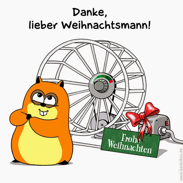 Hamster kennenlernen