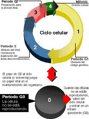 CIENCIAS NATURALES GRADO GRADO 8°. ESCUELA NORMAL SUPERIOR 