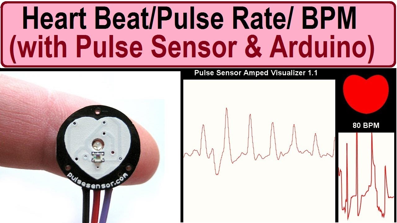 Pulse Rate Monitor Pulse Rate