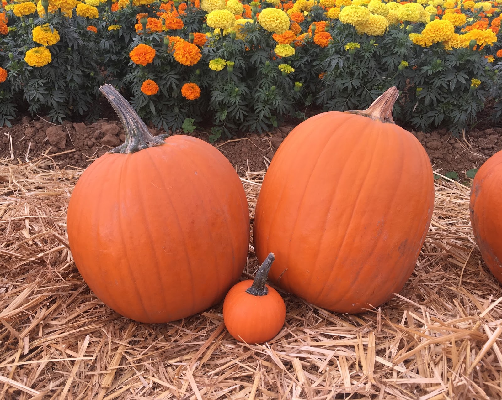 Serving Our Community October 2016