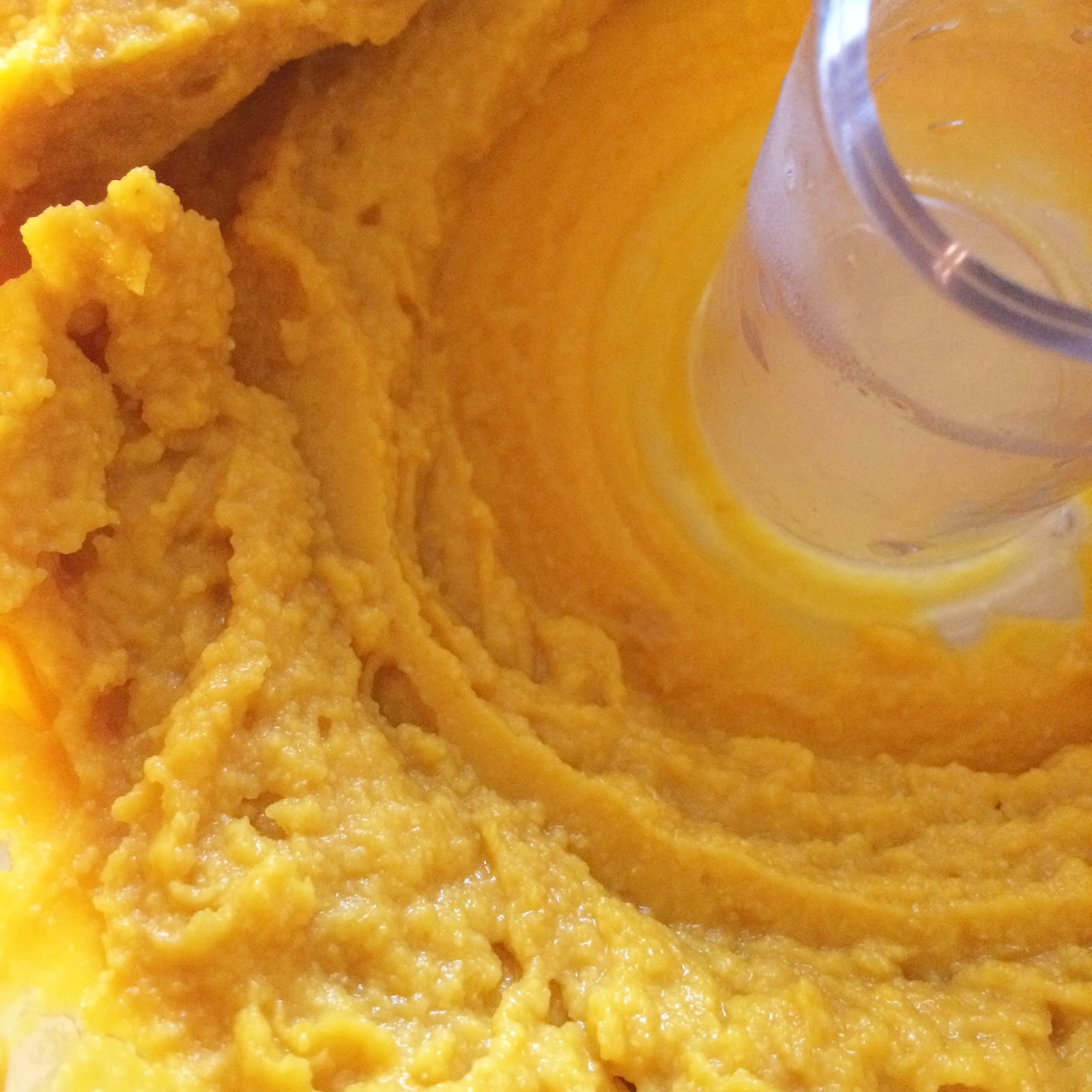 Savory Moments: Homemade baby food purées (advanced)