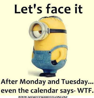 WTF MEME Let's face it