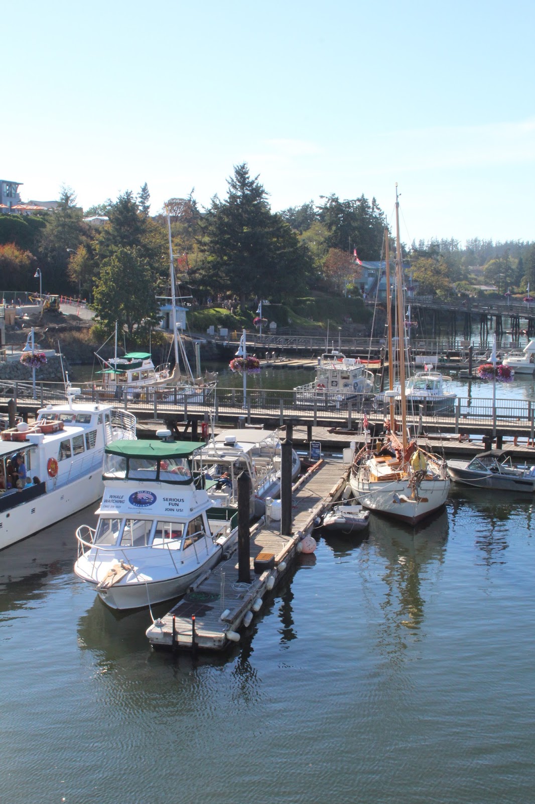 Anacortes and Ferry Fun
