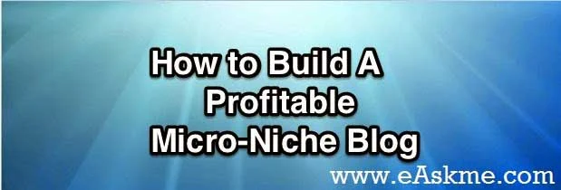 How to Build Micro Niche Site Make Money : eAskme